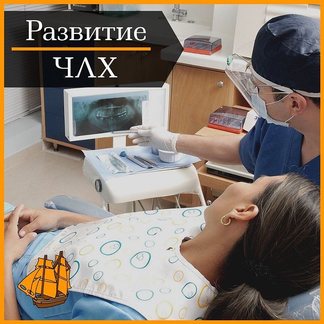 Развитие ЧЛХ